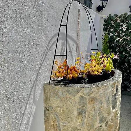 Casa Dos Montes * 阿尔沃尔